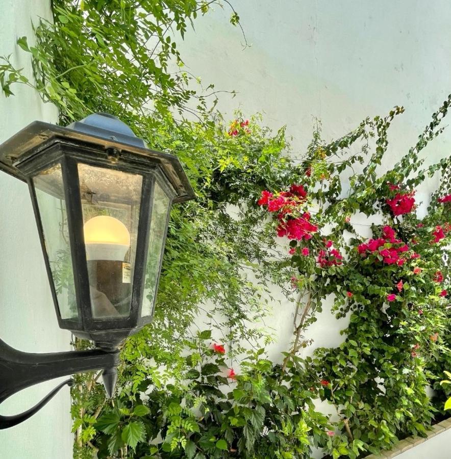 Gatu Premium Apartamento Palacio Oneto Con Jardin Privado " Preferente Mayores De 25 Anos Y Familias " 엘푸에르토데산타마리아 외부 사진
